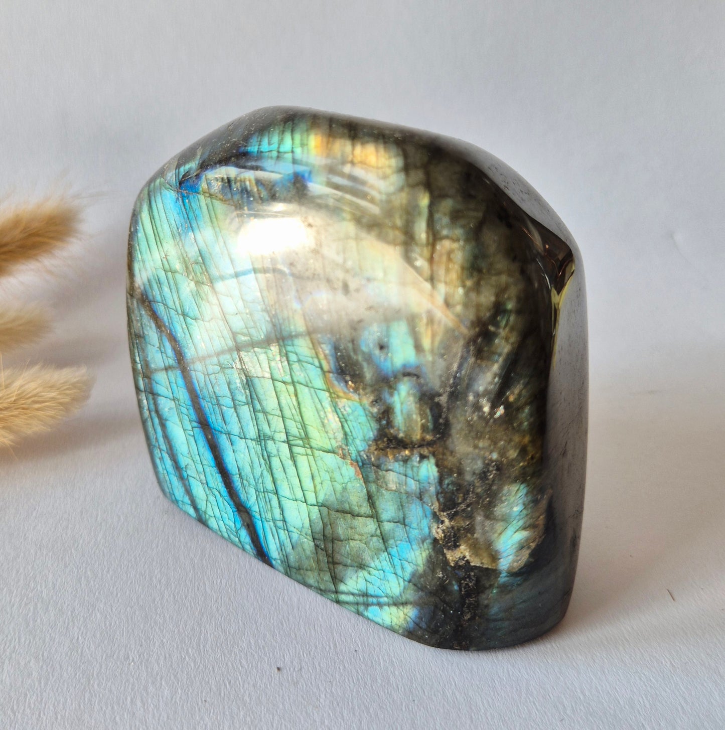 Labradoriet Freeform 818g – High Flash Madagascar Labradoriet – One of a Kind Crystal