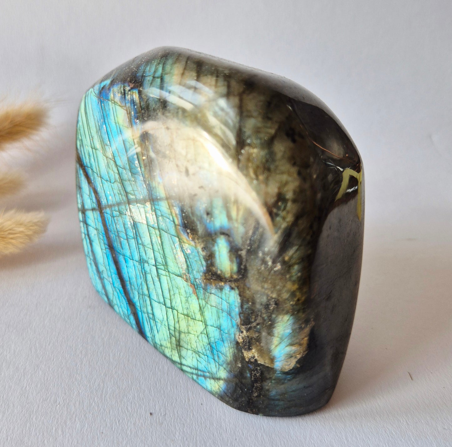 Labradoriet Freeform 818g – High Flash Madagascar Labradoriet – One of a Kind Crystal
