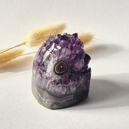 Amethyst Eyes Freeform – Agate Eye – 174g