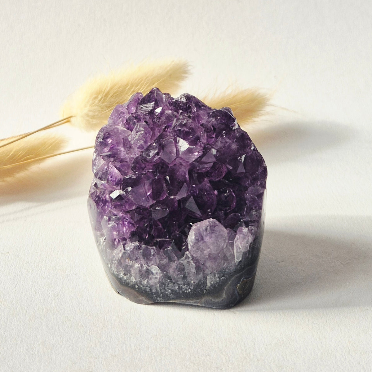 Amethyst Eyes Freeform – Agate Eye – 174g