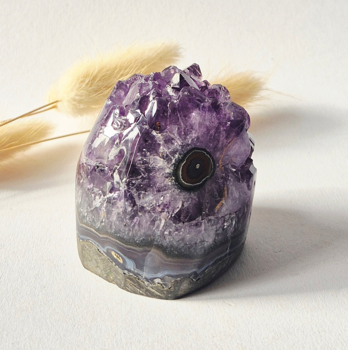 Amethyst Eyes Freeform – Agate Eye – 174g