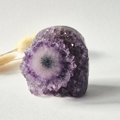 Amethyst Eyes Freeform – Agate Eye – 243g
