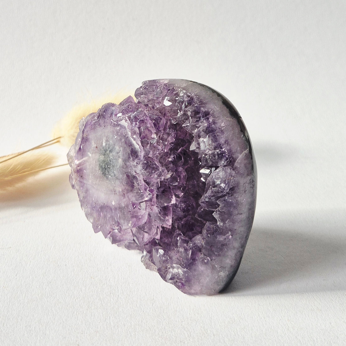 Amethyst Eyes Freeform – Agate Eye – 243g