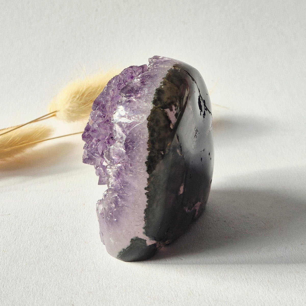Amethyst Eyes Freeform – Agate Eye – 243g