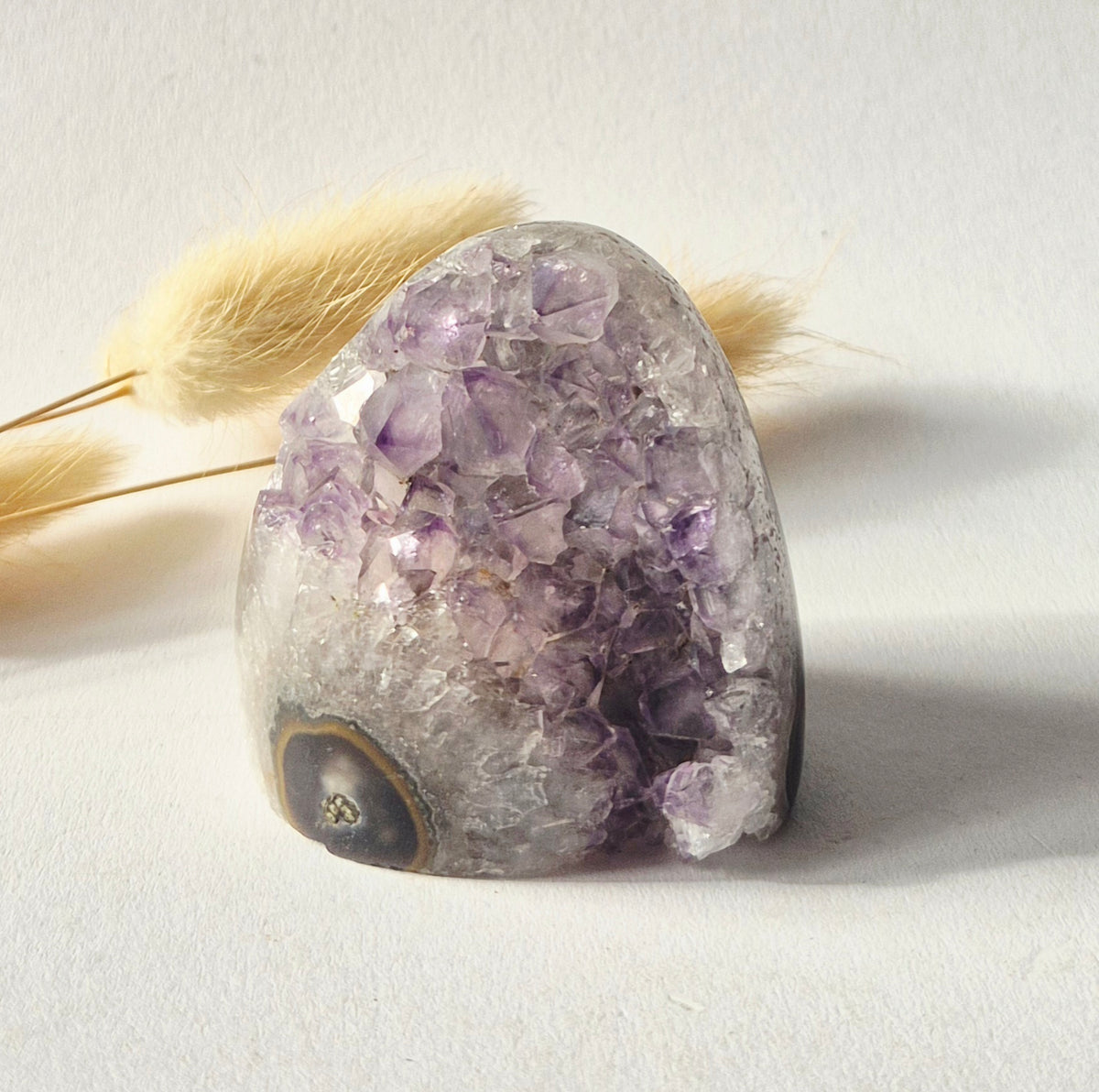 Amethyst Eyes Freeform – Agate Eye – 164g