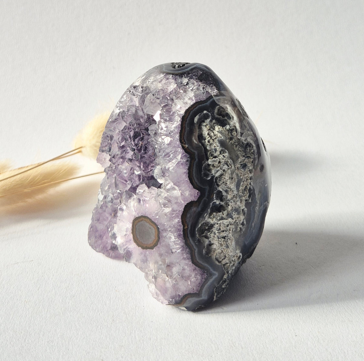 Amethyst Eyes Freeform – Agate Eye – 260g