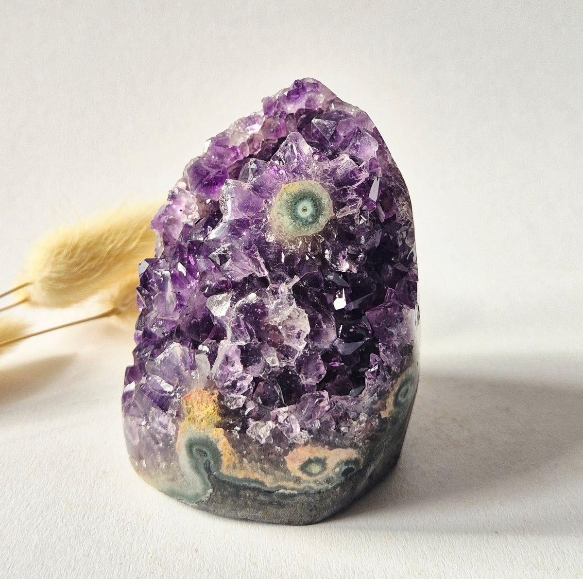 Amethyst Eyes Freeform – Agate Eye – 457g