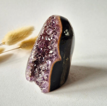 Amethyst Eyes Freeform – Agate Eye – 234g