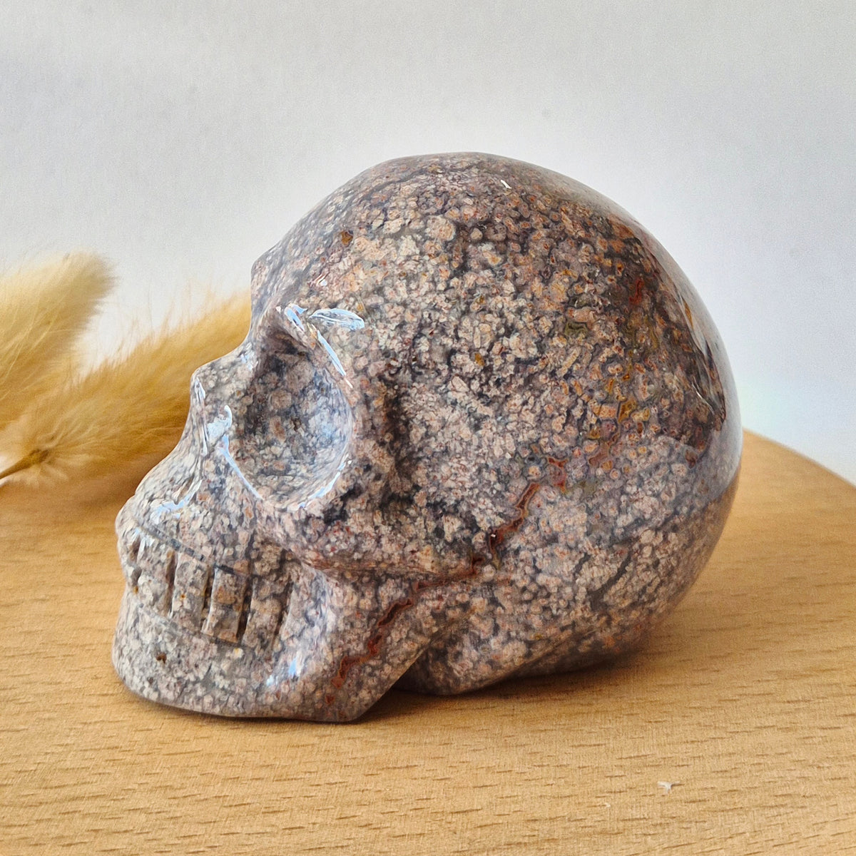 XL Ocean Jasper Skull  330g – 8-9 cm Edelsteen Schedel