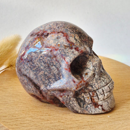 XL Ocean Jasper Skull  330g – 8-9 cm Edelsteen Schedel