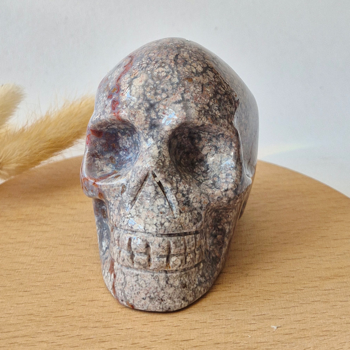 XL Ocean Jasper Skull  330g – 8-9 cm Edelsteen Schedel