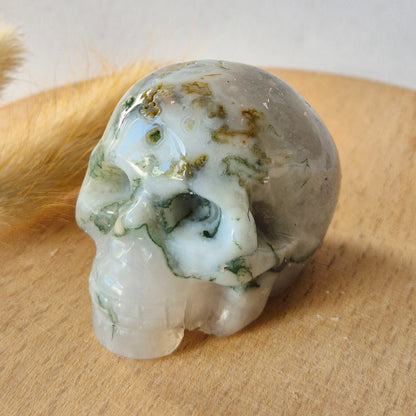 Mosagaat Skull Carving #5 | 5–6 cm Geslepen Edelsteen