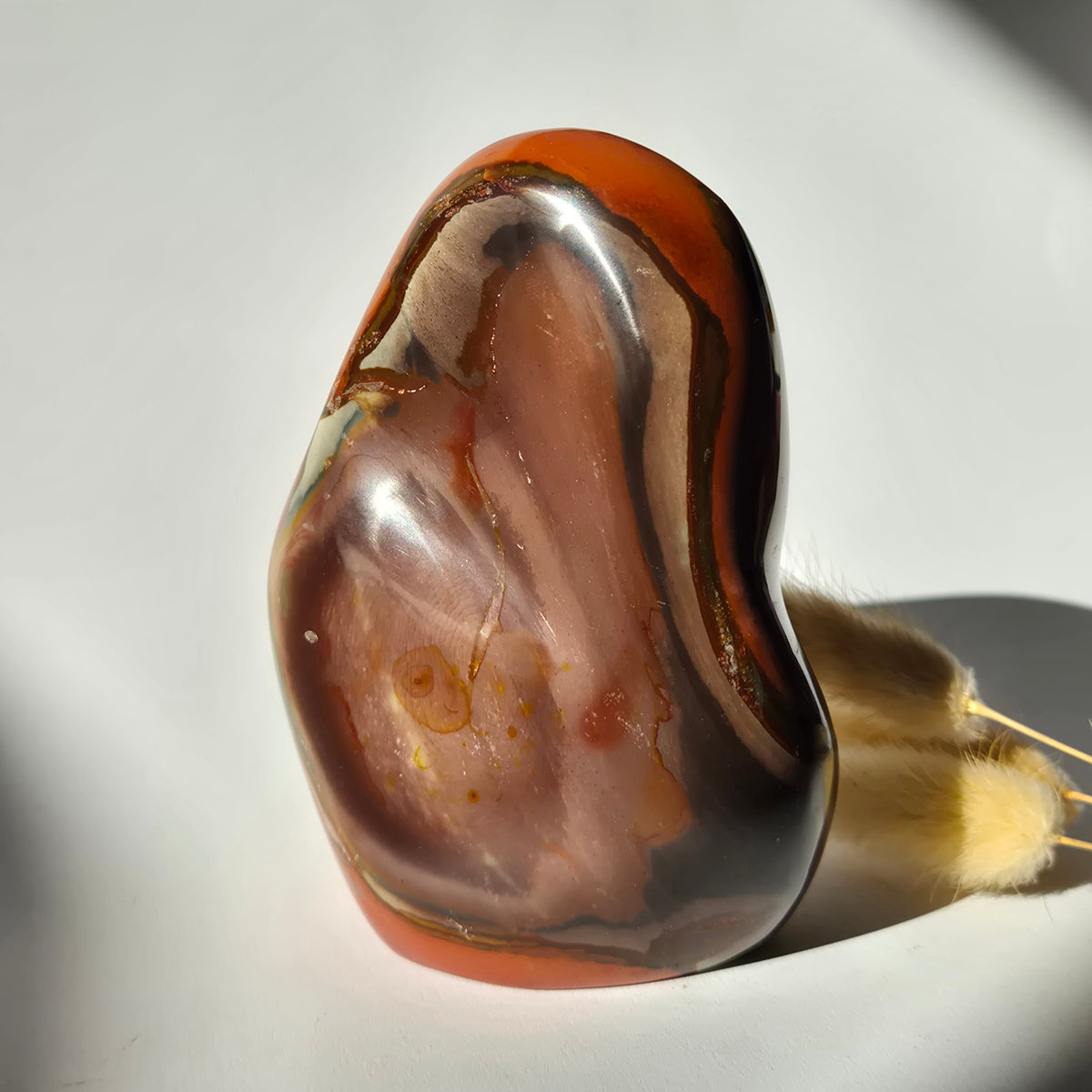 Edelsteen Spiritueel Statement piece Polychrome Ocean Jasper Freeform – 800g