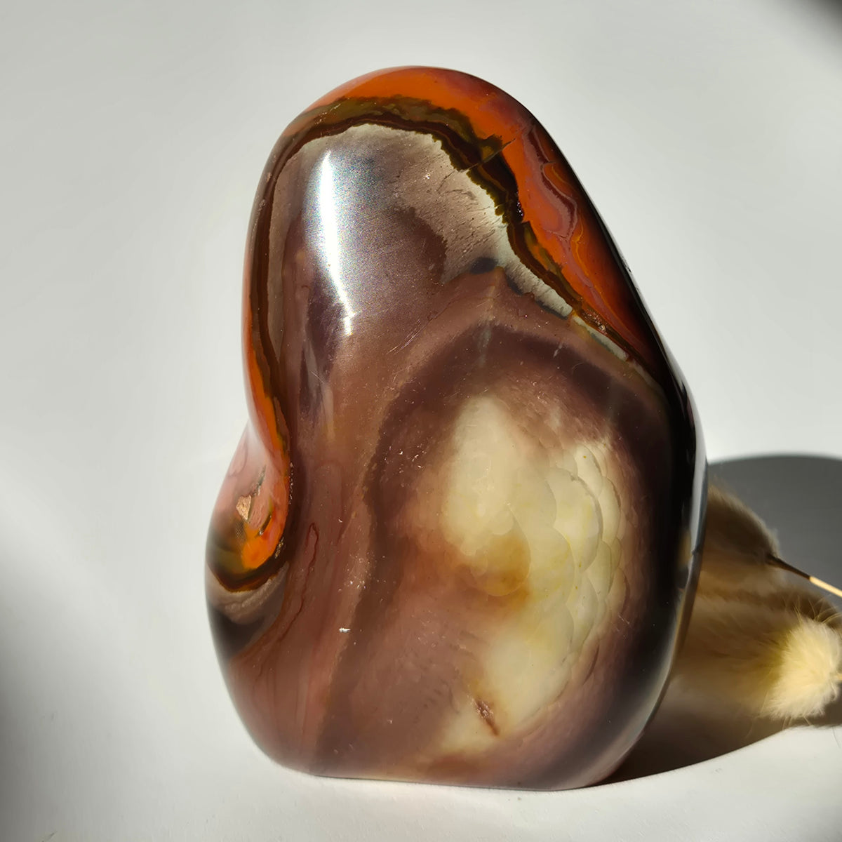 Edelsteen Spiritueel Statement piece Polychrome Ocean Jasper Freeform – 800g