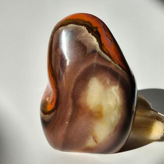 Edelsteen Spiritueel Statement piece Polychrome Ocean Jasper Freeform – 800g