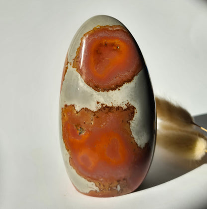 Edelsteen Spiritueel Statement piece Polychrome Ocean Jasper Freeform – 568g