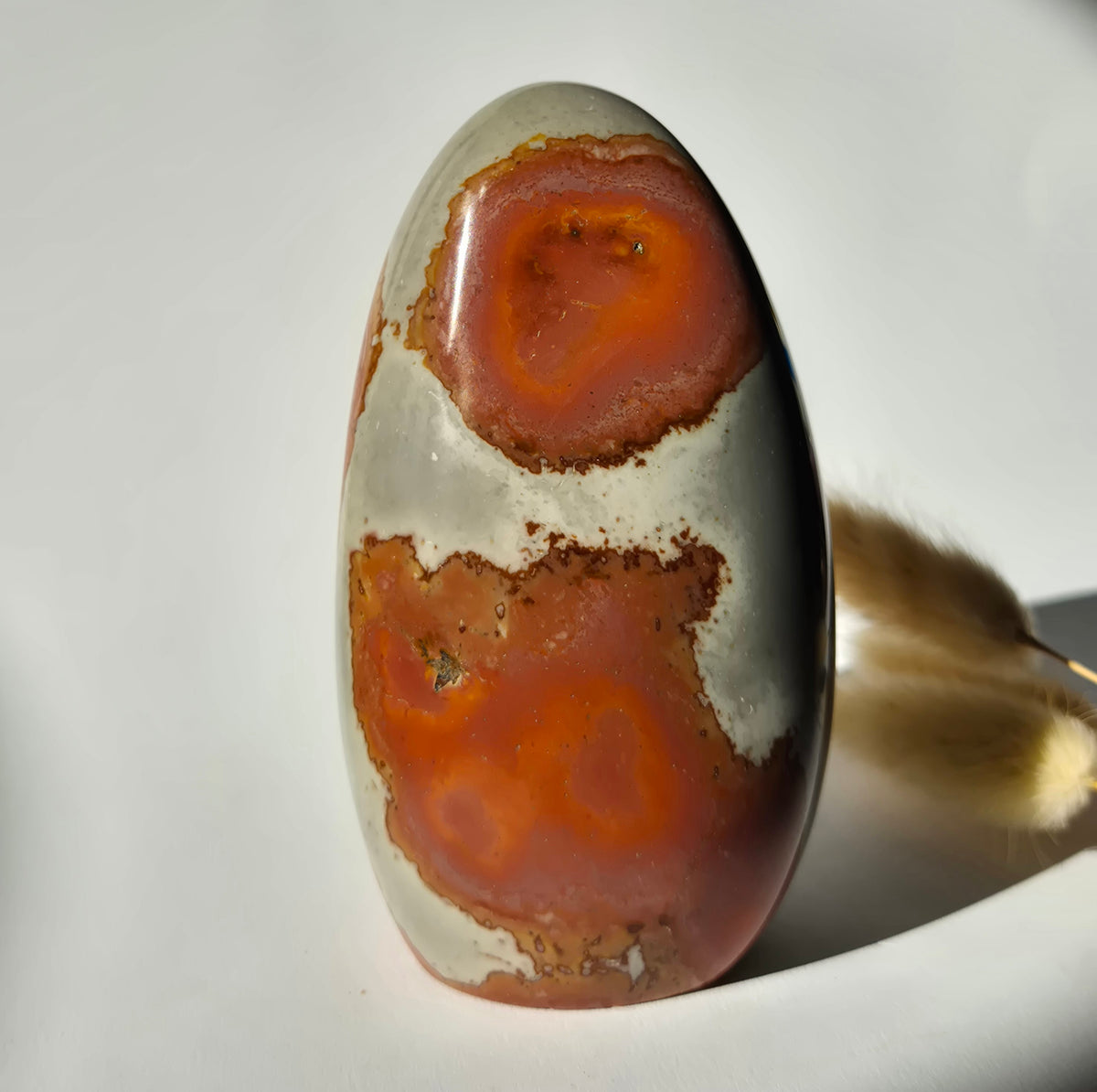 Edelsteen Spiritueel Statement piece Polychrome Ocean Jasper Freeform – 568g