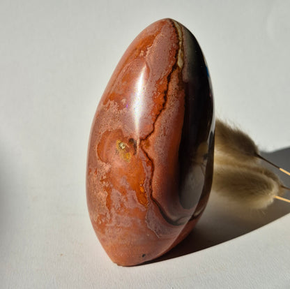 Edelsteen Spiritueel Statement piece Polychrome Ocean Jasper Freeform – 500g