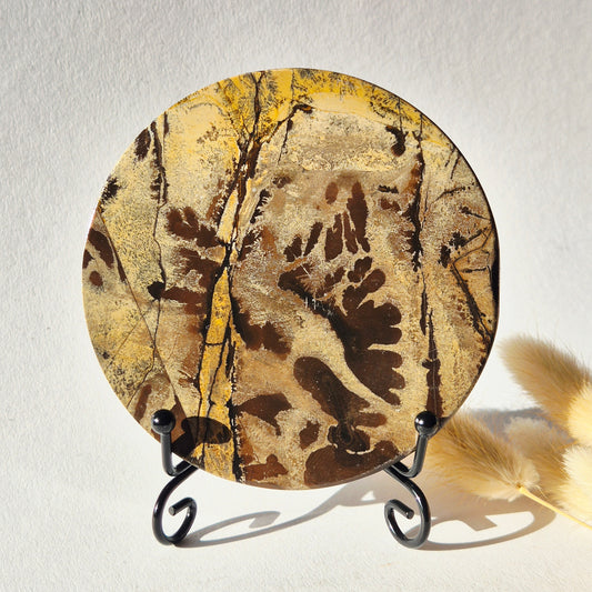 Picture Jasper Schijf op Metalen Standaard – ca. 10 cm #1