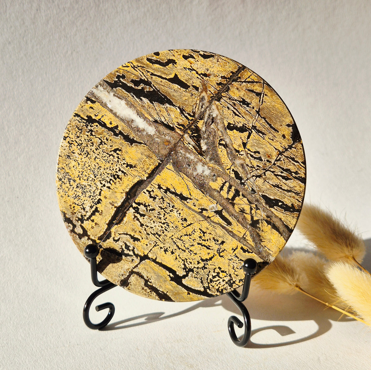 Picture Jasper Schijf op Metalen Standaard – ca. 10 cm #6