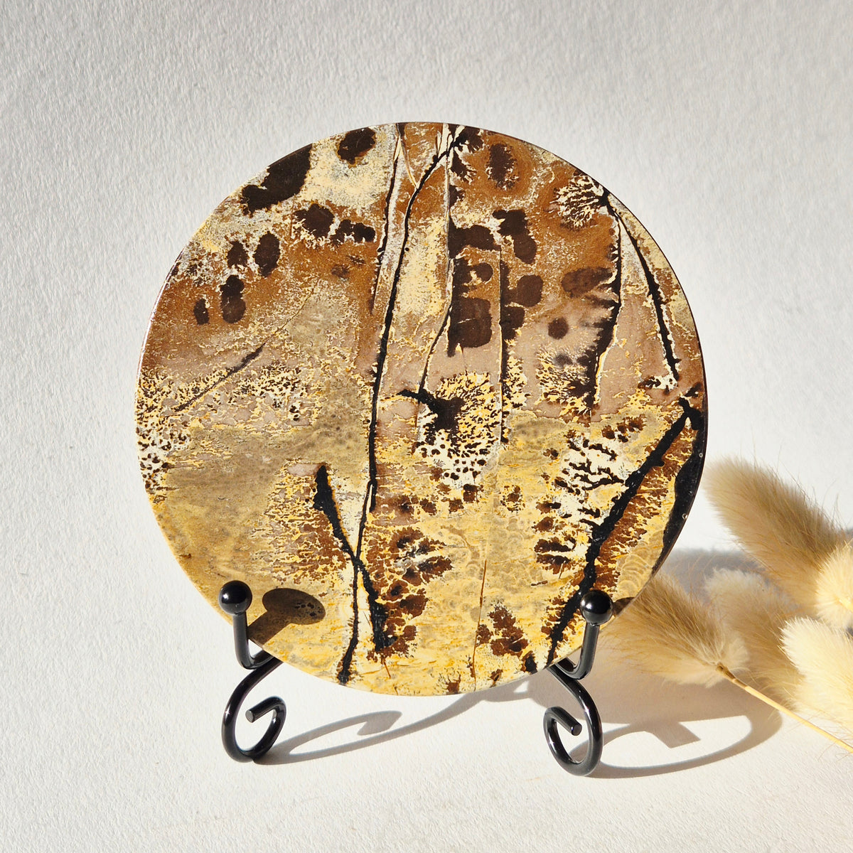 Picture Jasper Schijf op Metalen Standaard – ca. 10 cm #7
