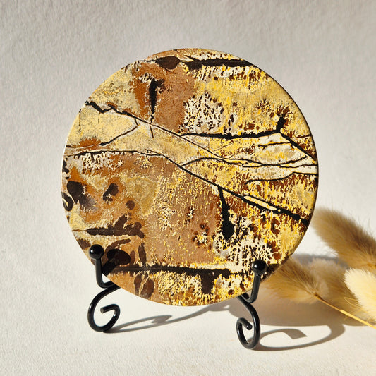 Picture Jasper Schijf op Metalen Standaard – ca. 10 cm #8