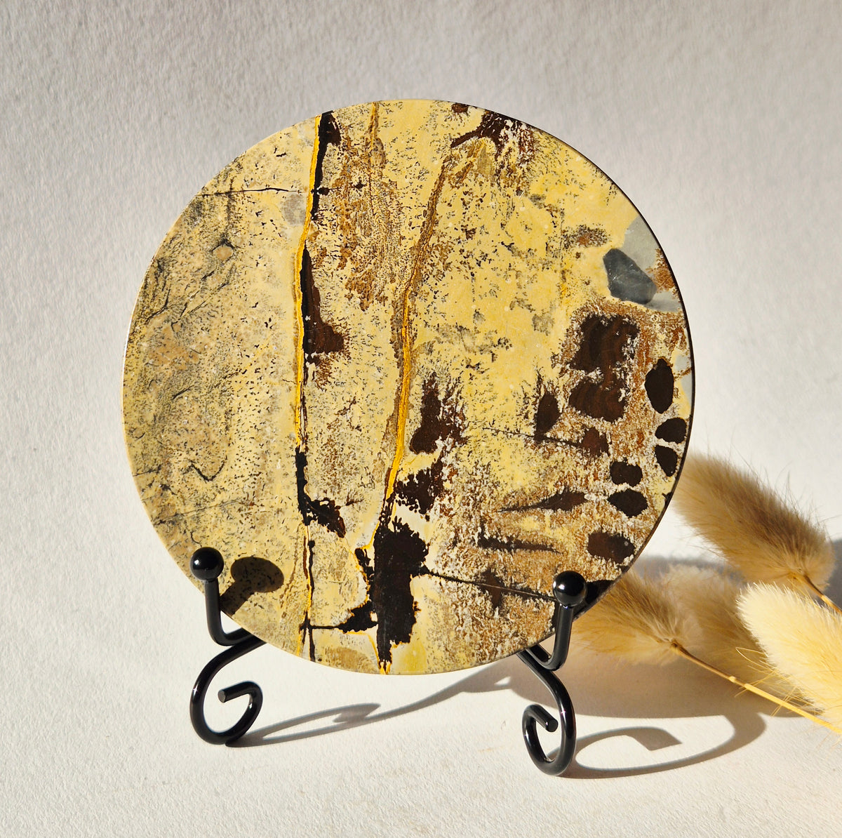 Picture Jasper Schijf op Metalen Standaard – ca. 10 cm #10