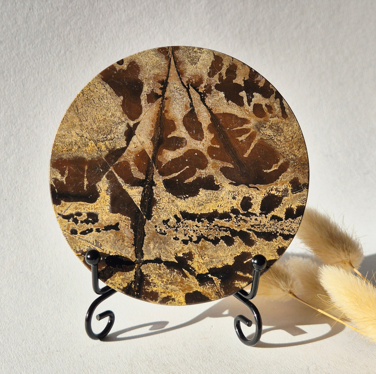 Picture Jasper Schijf op Metalen Standaard – ca. 10 cm #11
