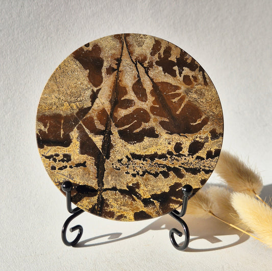 Picture Jasper Schijf op Metalen Standaard – ca. 10 cm #11