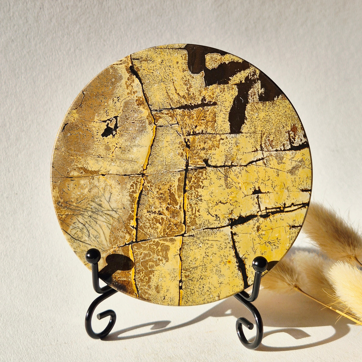 Picture Jasper Schijf op Metalen Standaard – ca. 10 cm #12