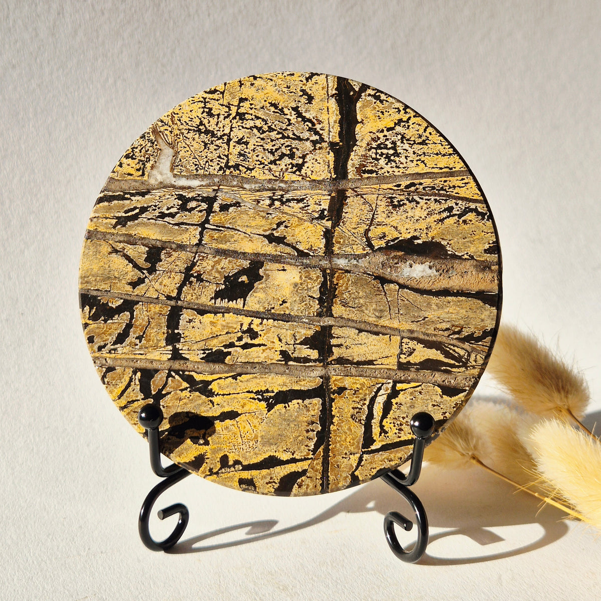 Picture Jasper Schijf op Metalen Standaard – ca. 10 cm #13