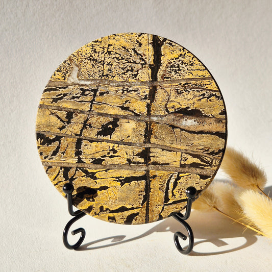 Picture Jasper Schijf op Metalen Standaard – ca. 10 cm #13