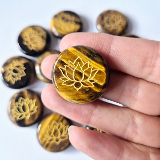 Tijgeroog Lotus Schijf – Focus & Kracht | Moonlight Gemstones