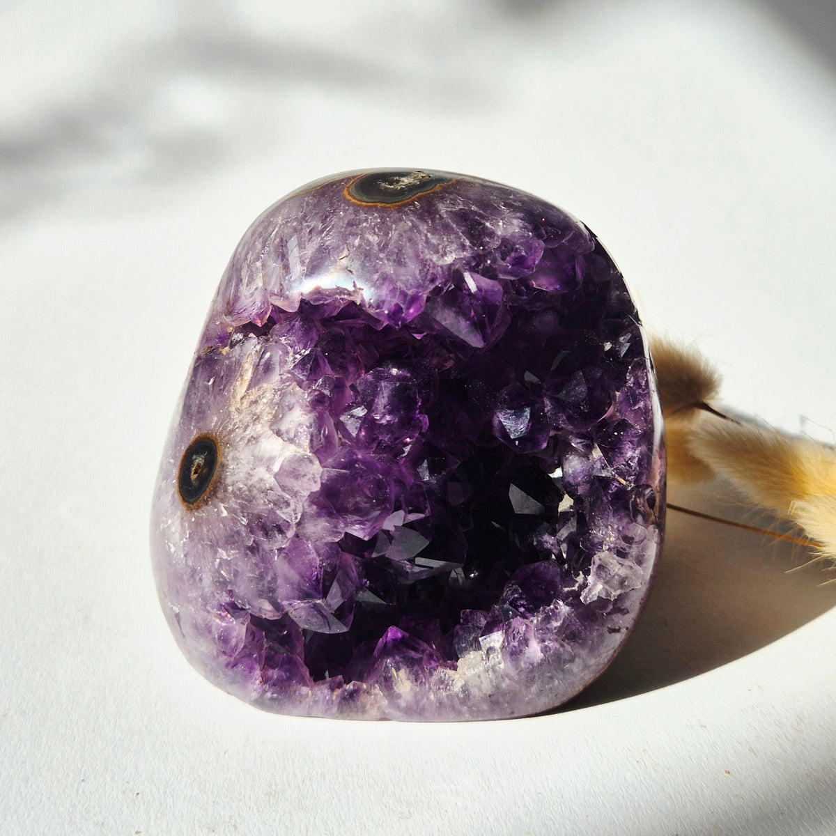 Unieke paarse amethist druzy freeform van 565 gram met natuurlijke agate eyes en gepolijste agaatbanden